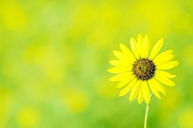 Innovative, Green, 2560x1440 HD Wallpapers And FREE Stock Photo