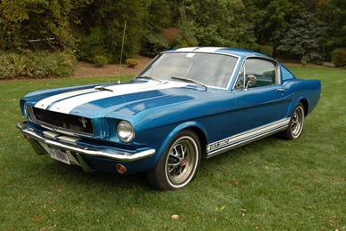 1965 Ford Mustang Fastback, Ford Mustang 65 Fastback Wallpapers ...