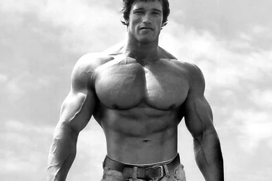 Biggest Body Builders: Arnold Schwarzenegger Wallpapers Hd