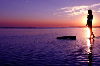 Scenic Forest Wallpapers Mobile : Nature Wallpapers   Kokean.com