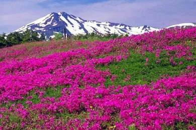 Amazing Scenery Wallpapers HD Free Download ~ Unique Wallpapers