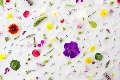 Web Coolness: Star Wars On Instagram, Free SAT Prep From Khan ...