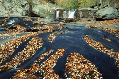 Skellng Michael 1920×1080 Hd Wallpapers