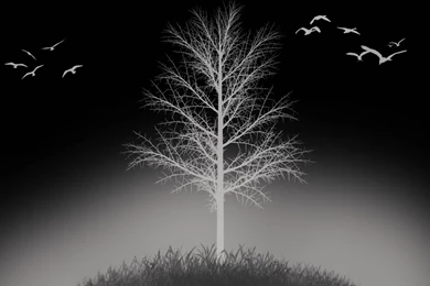 Winter Dark >> HD Wallpaper, Get It Now!