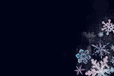 Snowflakes Winter Artwork HD Wallpapers Wallpapers   (