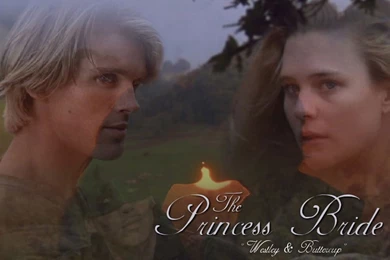 The Princess Bride   Movies Wallpapers (477086)   Fanpop