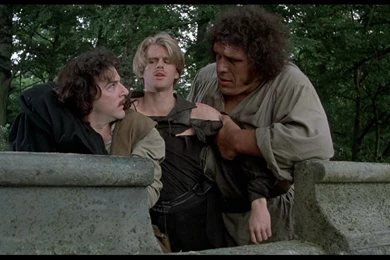 Review: Princess Bride: 25th Anniversary Edition, The (UK   BD RB ...