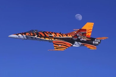 Aircraft Paint Jobs In USA