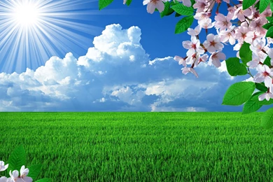 Beautiful Nature Pictures