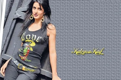 Katrina Kaif Indian Bollywood Wallpapers   1024x768   302081
