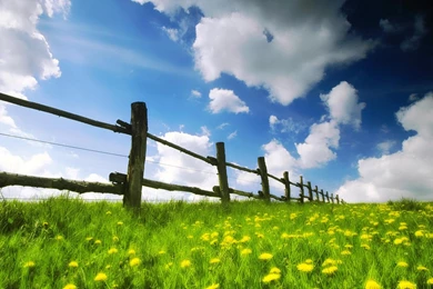 Free Wallpicz: Wallpapers Desktop Lifehacker