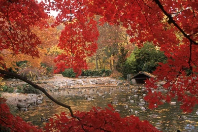 Free Autumn Backgrounds   HD Wallpapers Pretty