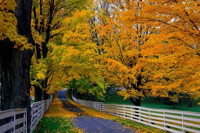 Autumn PC Wallpapers – 1600×1200 High Definition Wallpapers ...