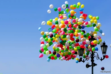 Beautiful Balloon Wallpaper Backgrounds