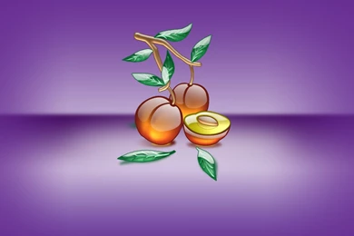 3D Animated Wallpapers Free Download ~ Animation Free Hd Wallpapers