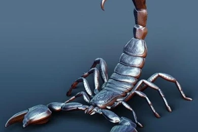 3D Scorpion Magic Wallpapers Download   3D Scorpion Magic Wallpapers ...