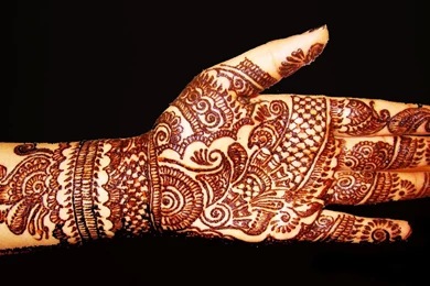 Mehandi Designs 2013,bridal Mehndi Designs 2013 High Resolution ...