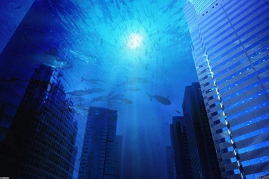 Under Ocean Wallpapers   Wallpapers Cave