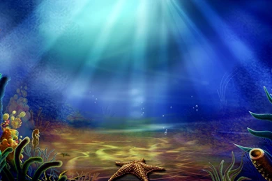 Under Water Wallpapers HD