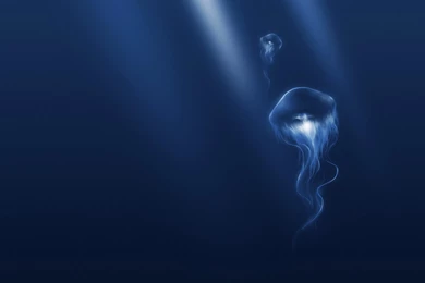 Jellyfish In The Blue Ocean Wallpapers And Images   Wallpapers ...