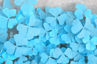 4K Ultra HD Paper Wallpapers HD, Desktop Backgrounds 3840x2160