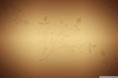 Paper Texture HD Desktop Wallpapers : High Definition : Fullscreen ...