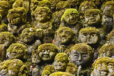 Download Japan Kyoto Wallpapers 1920x1080