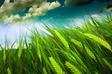 Motorola Droid Razr M Wallpapers Now Available For Download