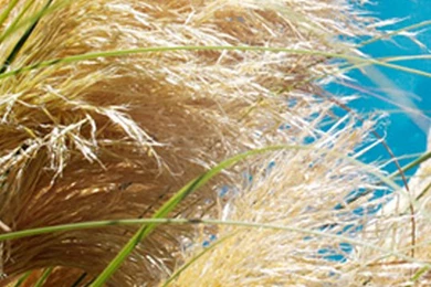 Moto E Wallpapers HD, 540x960 Wallpapers HD, Motorola E Wallpapers