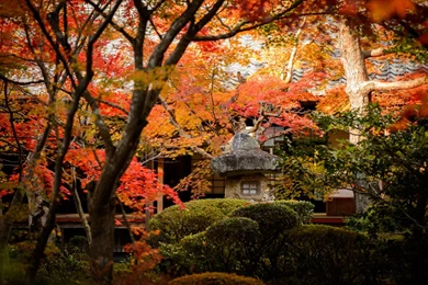 Kyoto Wallpapers   Wallpapers Cave