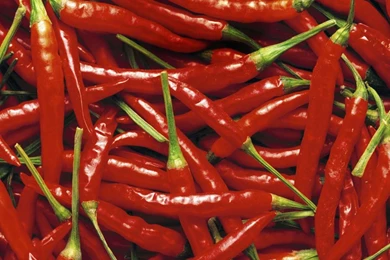 Download] The New Moto X Wallpapers Are Available Here Now For ...