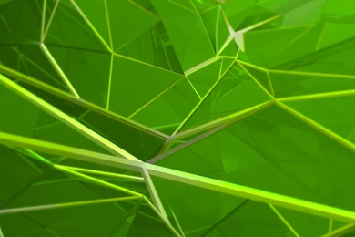 Spider Green Motorola Xoom 2 Wallpapers