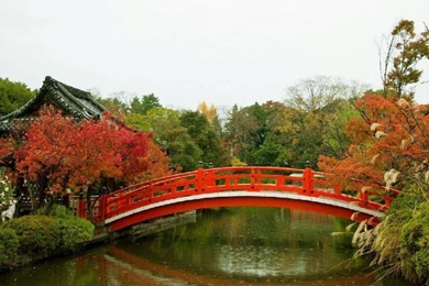 Autumn In Kyoto Wallpapers   (
