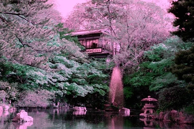 Kyoto Maruyama Park   ServersStack.com