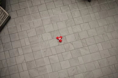 Download Wallpapers 1920x1080 Deadmau5, Outdoor, Mouse, Toy, Earth ...