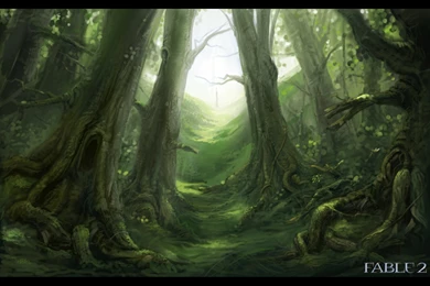 Fable 2   Wallpapers Gallery