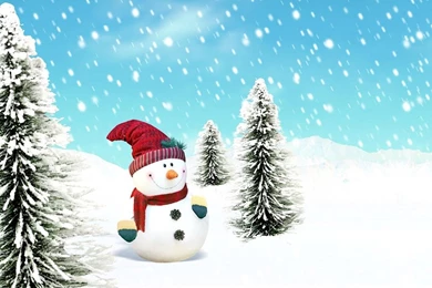 iPad Wallpapers: Free Download Christmas Scenery iPad Mini ...