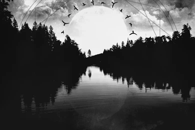 Insomnium Black And White Raven Wallpapers Ver.2 By Lumianos On ...