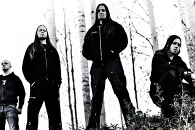 Insomnium Jackets Forest Trees Hair