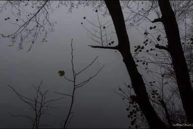 Through The Shadows By Indeepsilence On DeviantArt