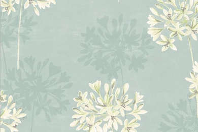 Wallpapers Floral