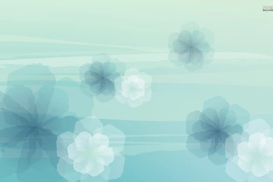 Flower Hd Picture 0086