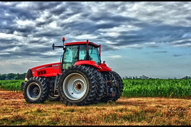 When This Becomes There