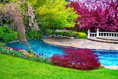 Free Download Latest Most Beautiful HD Widescreen Natural Scene ...