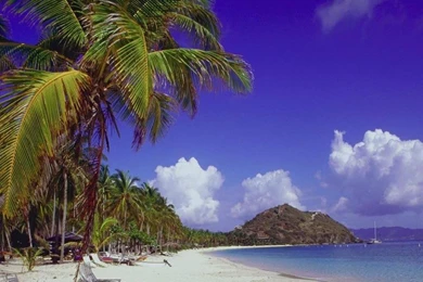 Desktop Wallpapers » Nature & Landscape Backgrounds » Page 73 ...