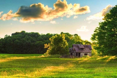 Beautiful Natural HD Wallpapers   Image Wallpapers