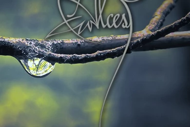 DeviantArt: More Like Alcest iPhone Wallpapers By Agreliwyn