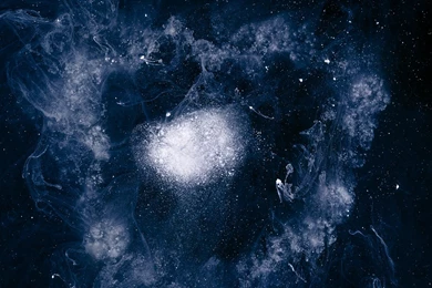 Wet Cement Wallpapers: Swans   My Father Will Guide Me Up A Rope ...