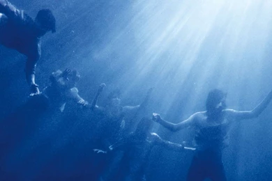 Wet Cement Wallpapers: Foals   Total Life Forever 1920x1200 1920x1080