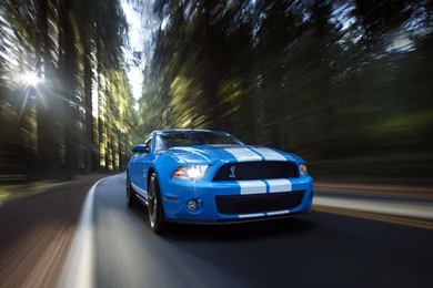 Mustang_wallpaper_desktop pc.jpg